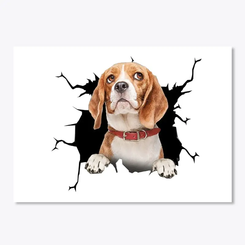 Beagle