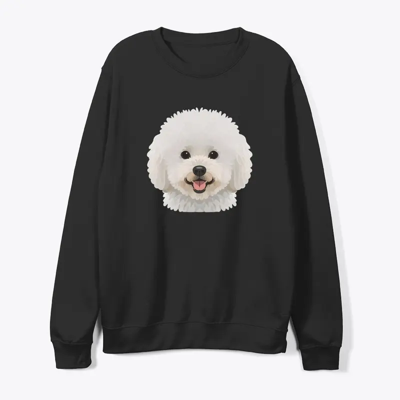 bichon frise 