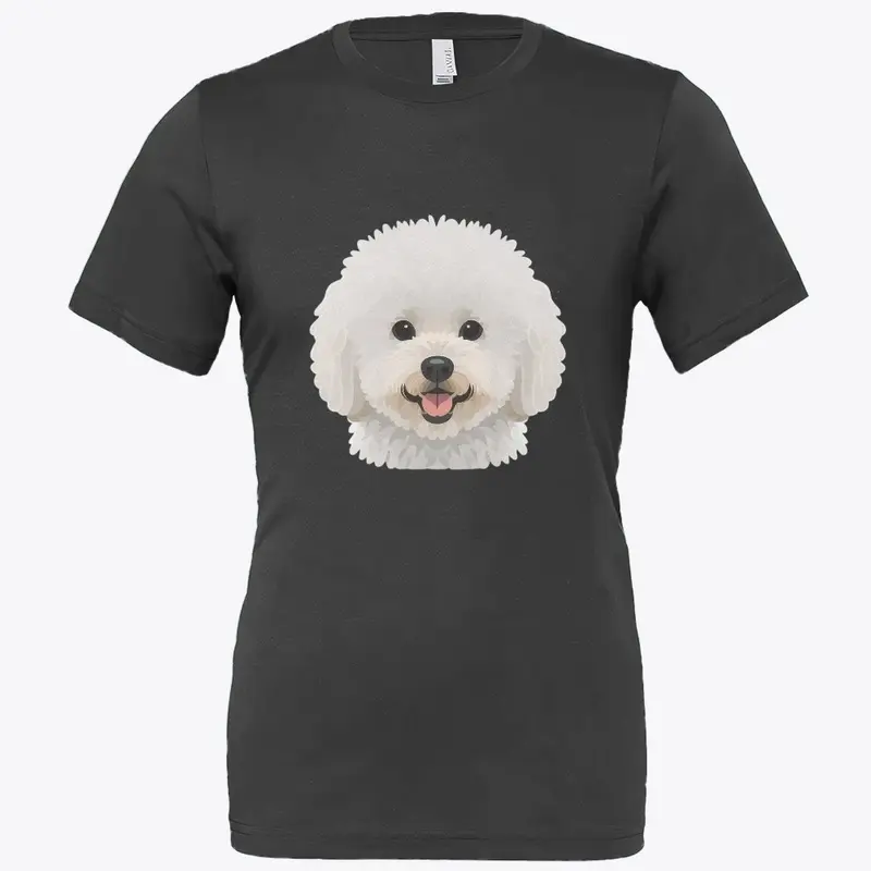 bichon frise 