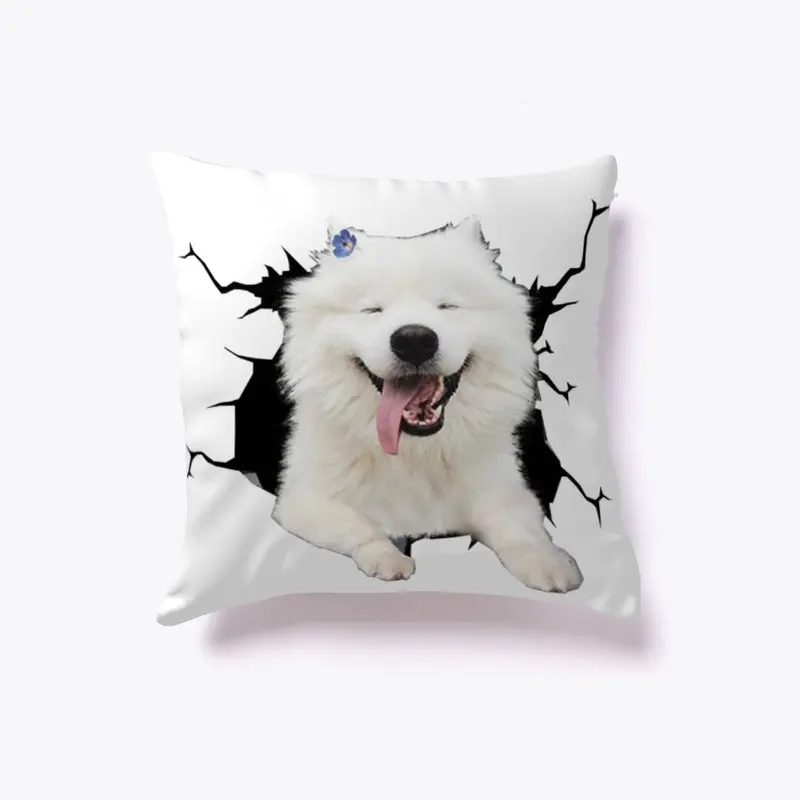 Samoyed