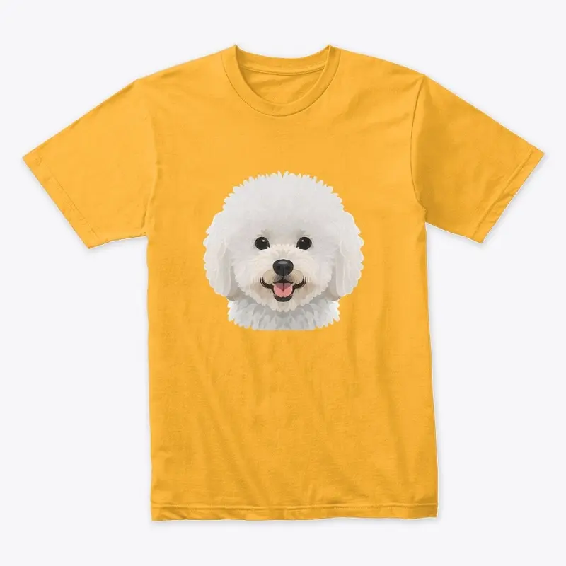 bichon frise 