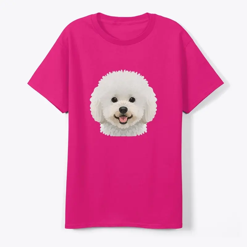 bichon frise 