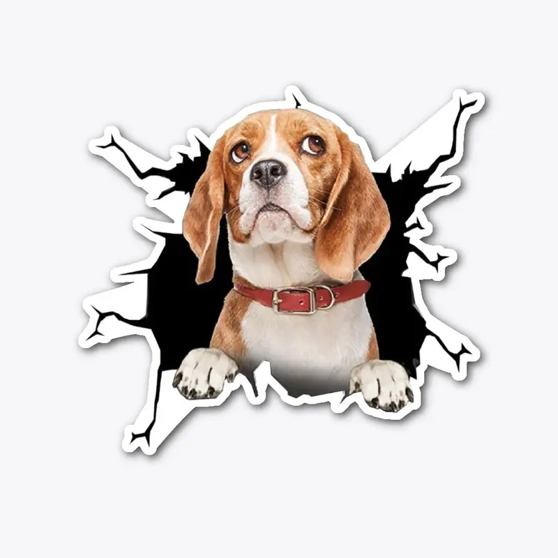 Beagle