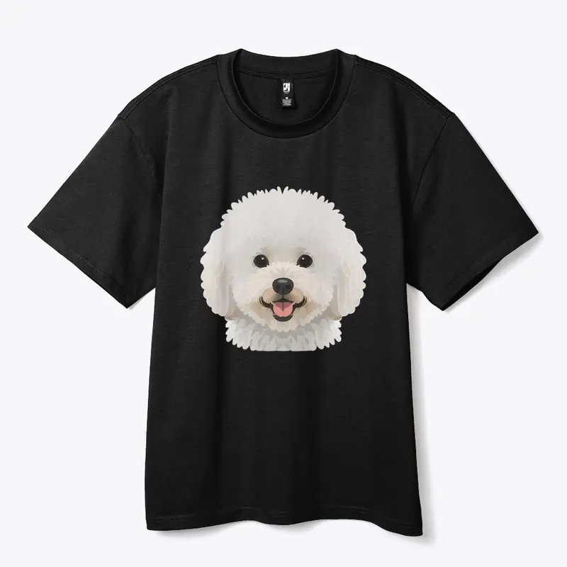 bichon frise 